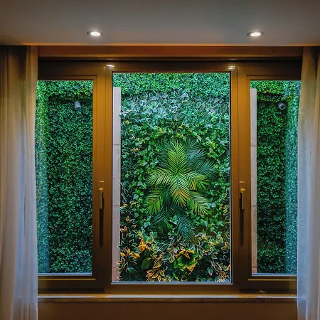 Tan - Special Category