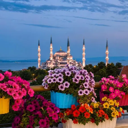 Tan - Special Category 4* Istanbul