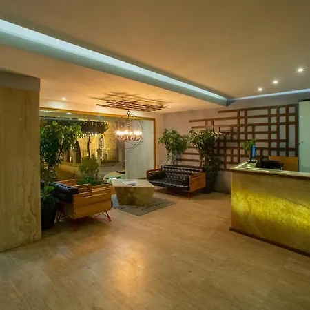 Tan - Special Category Istanbul