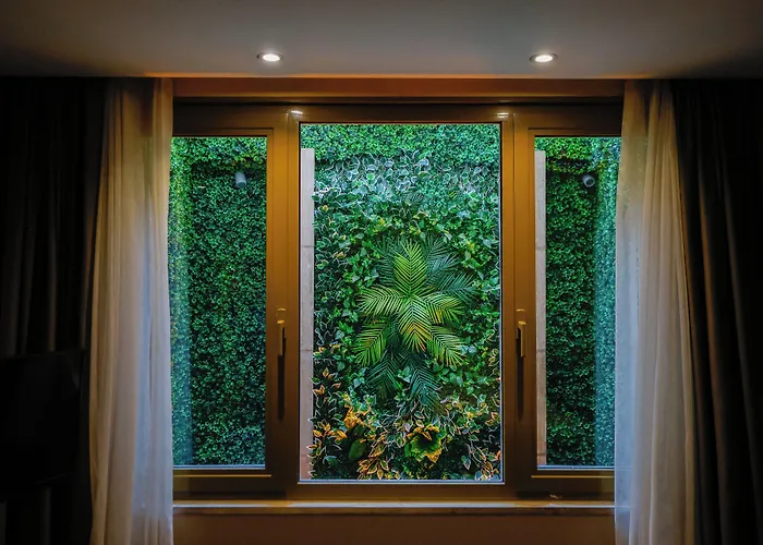 Tan - Special Category