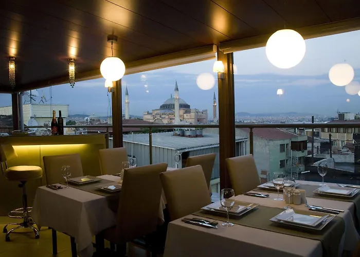 Tan - Special Category