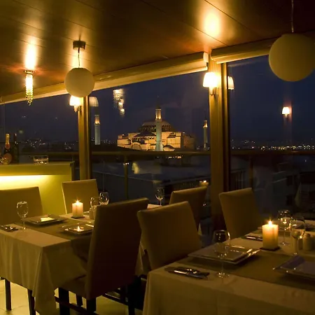 Tan - Special Category 4*