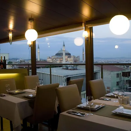 Tan - Special Category