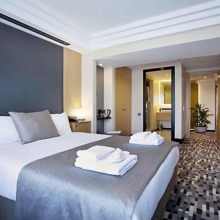 Tan - Special Category