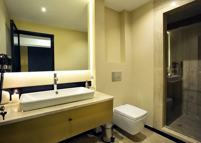 Tan - Special Category Hotel 4*