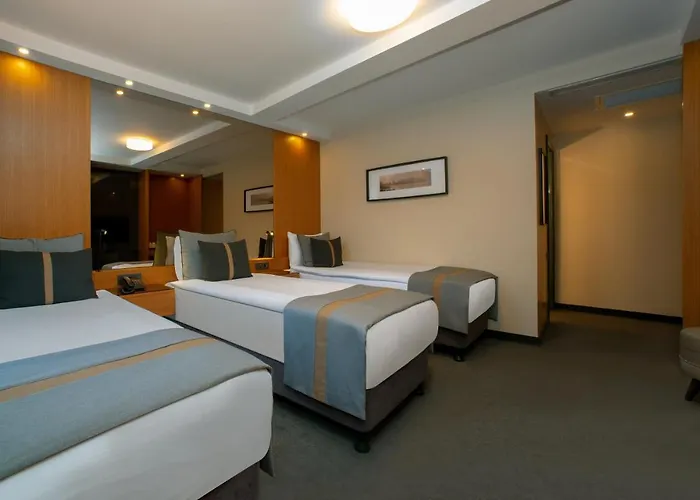 Tan - Special Category 4*